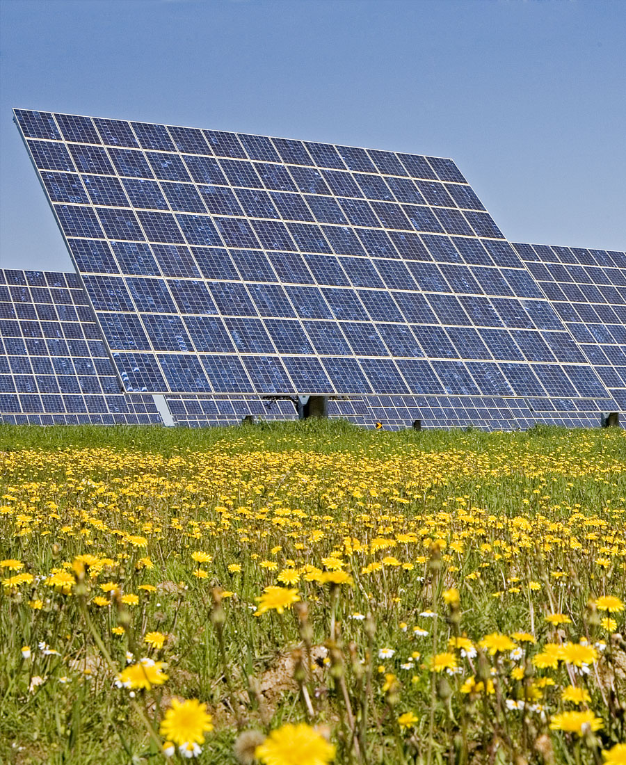 Energía Solar Fotovoltaica | ACCIONA | Business as unusual