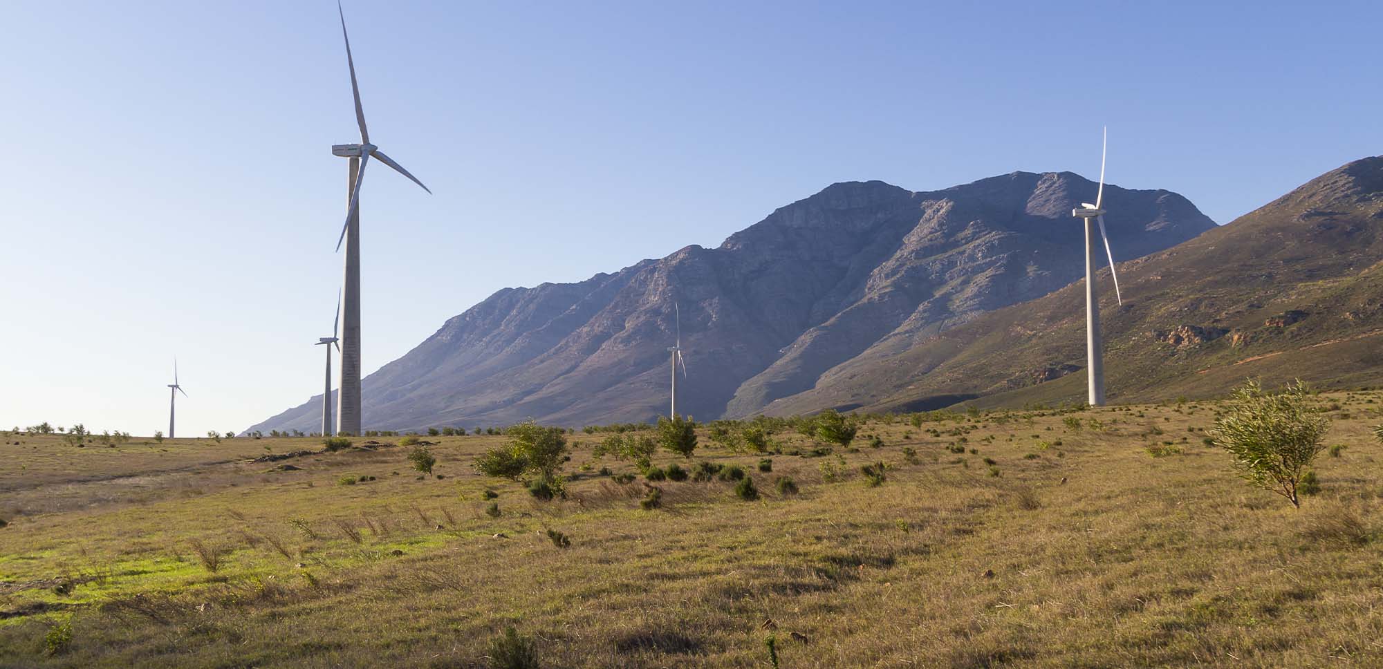 Labit Program | ACCIONA | Business as unusual